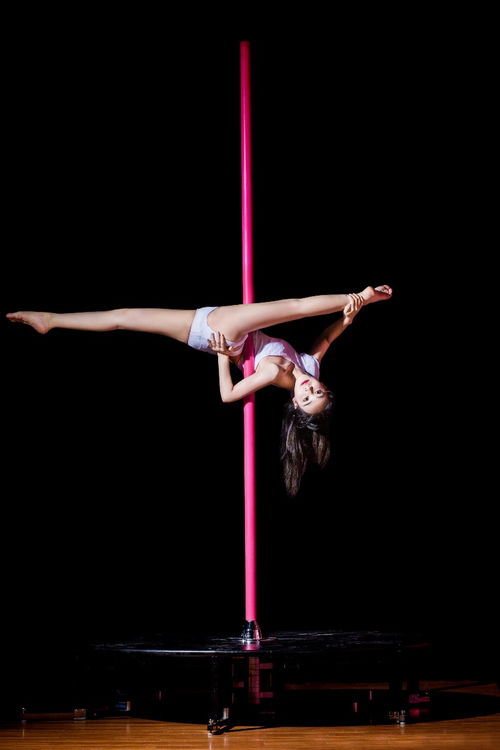 圖 青白江全國 度較高的鋼管舞培訓基地 成都文體培訓