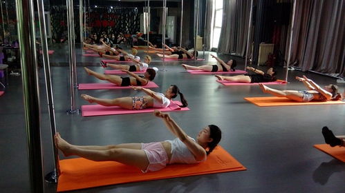 洛陽鋼管舞培訓 鋼管舞的魅力無可抗拒