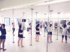 圖 鋼管舞爵士舞計(jì)教練培訓(xùn)班 成都聚星舞蹈職業(yè)培訓(xùn)機(jī)構(gòu) 成都文體培訓(xùn)