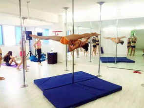 圖 專業(yè)舞蹈教練培訓(xùn)減肥塑身提升氣質(zhì) 成都文體培訓(xùn)