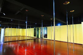 成都鋼管舞 專業鋼管舞培訓