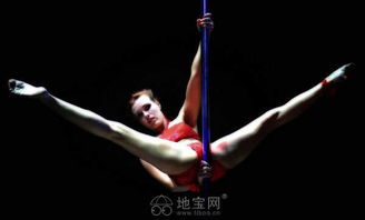 江西職業鋼管舞教練培訓學校