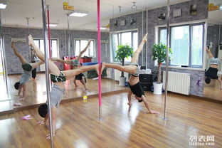 圖 北京學鋼管舞 來江尚專業培訓 零基礎包教會 北京其他培訓