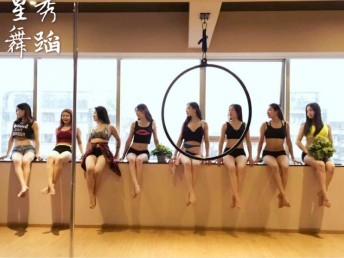 成都里有專業(yè)的爵士舞 酒吧領(lǐng)舞 鋼管舞培訓(xùn)