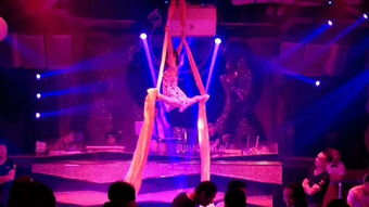 雙流專業舞蹈培訓學校 鋼管舞、爵士舞與吊環舞蹈全方位指導