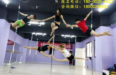 南昌專業(yè)鋼管舞培訓(xùn)與職業(yè)教練班——舞動(dòng)夢(mèng)想，鑄就專業(yè)舞臺(tái)